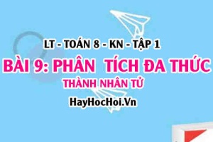 Phân tích đa thức thành nhân tử, đặt nhân tử chung, nhóm hạng tử và hằng đẳng thức? Toán 8 bài 9 [b9c2kn1]